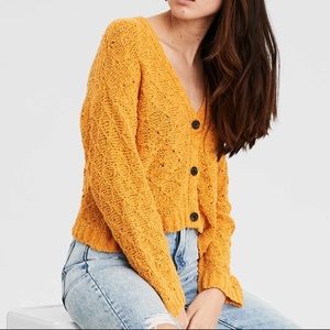 American Eagle stitched cropped sweater
